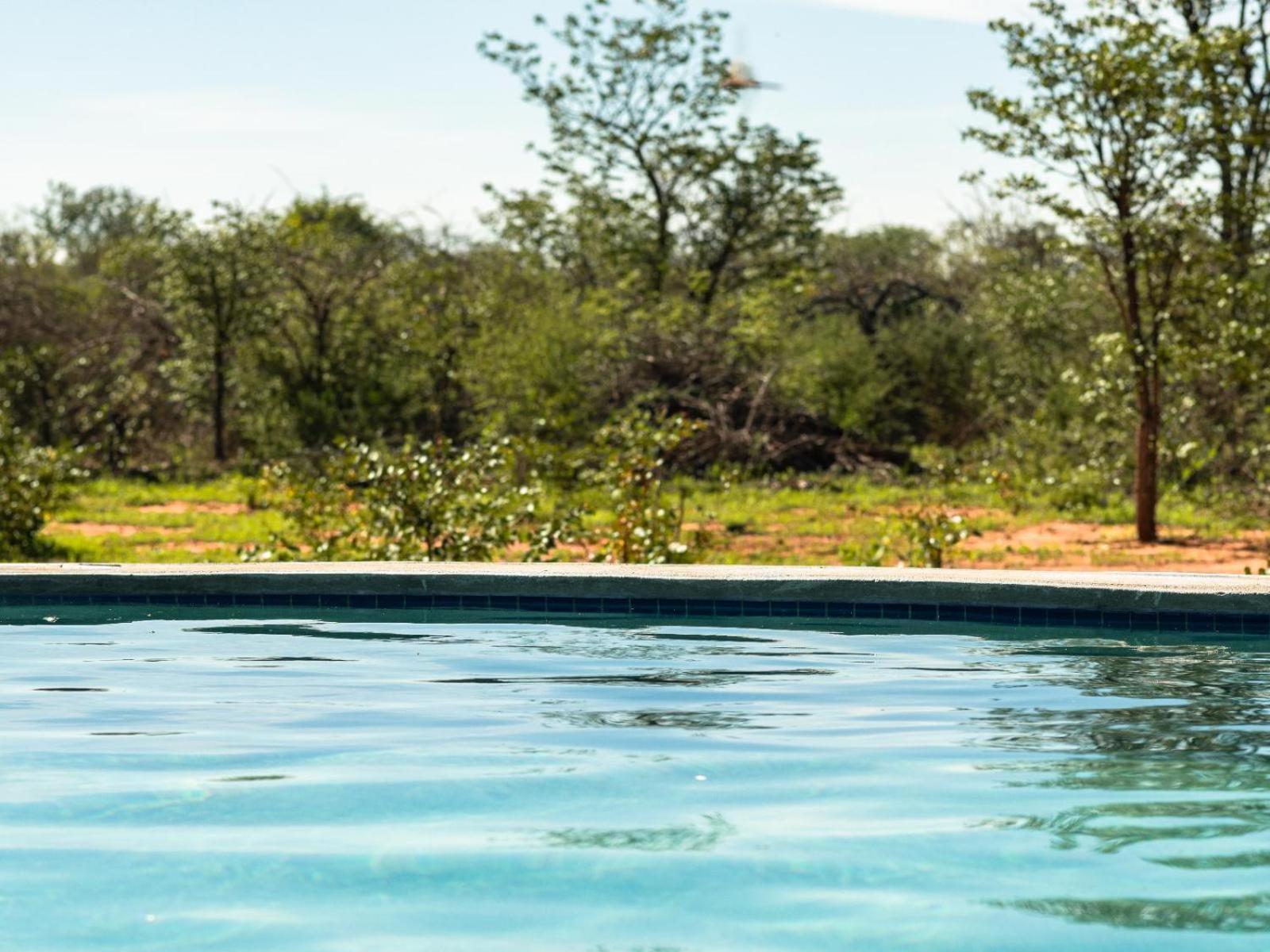 Hotel Kifaru Bush Camp Outjo Exteriér fotografie