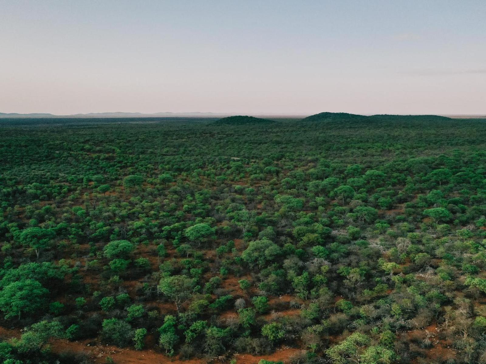 Hotel Kifaru Bush Camp Outjo Exteriér fotografie